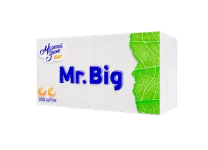 Салфетки бумажные белые 24 х 24 однослойные Mr Big 250 шт (артикул производителя С58)